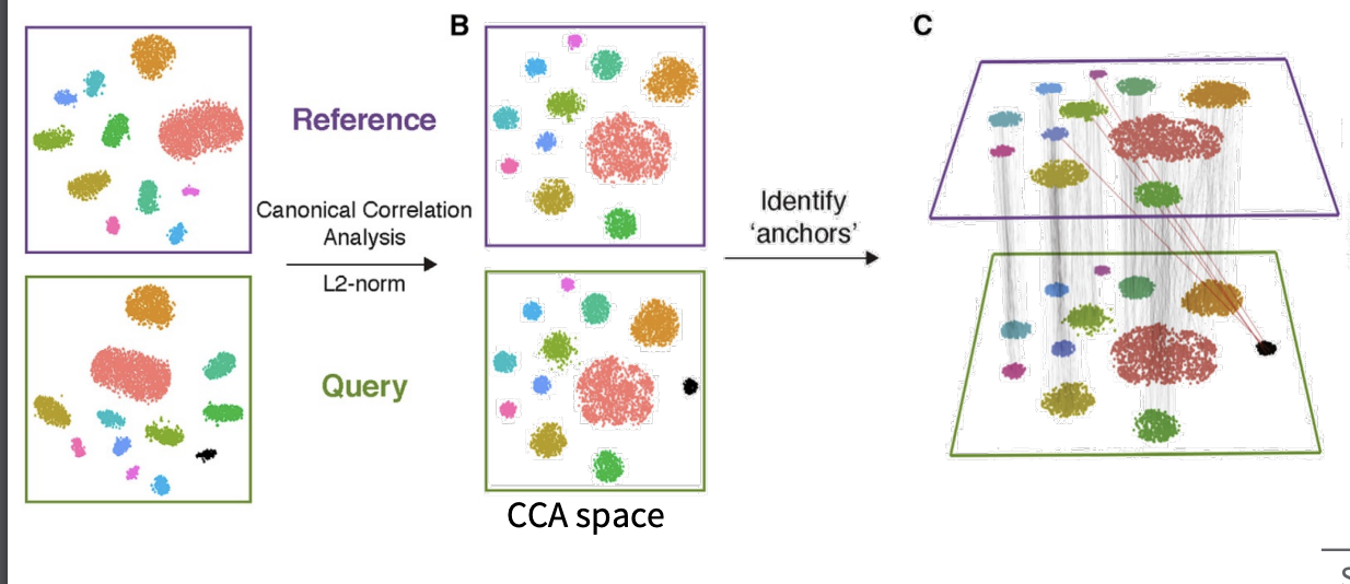 CCA-based integration of scRNA and scATAC [-@Stuart2019]
