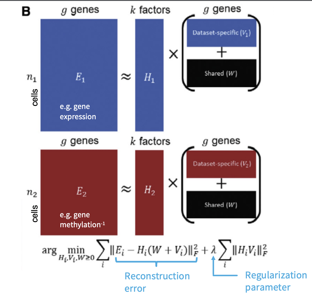 LIGER joint clustering [-@Welch2019]