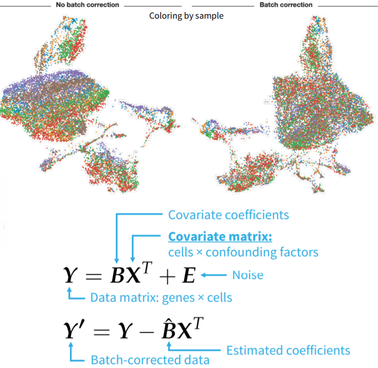 Representation of batch effect and, the ComBat formula.