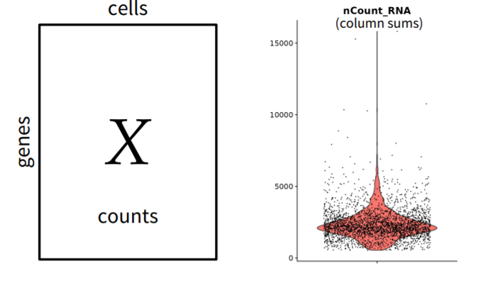 Single-cell sequencing counts