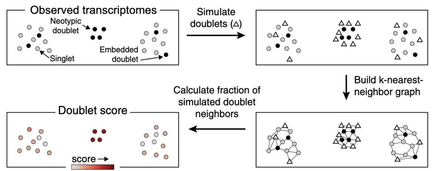 Doublet detection with Scrublet [-@Wolock2019]