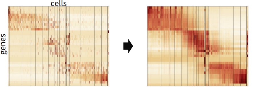 Representation of Data imputation / Data Smoothing in single-cell RNA-seq data